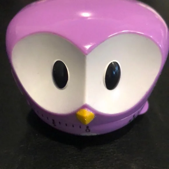 🦉 Timer - Picture 1 of 6